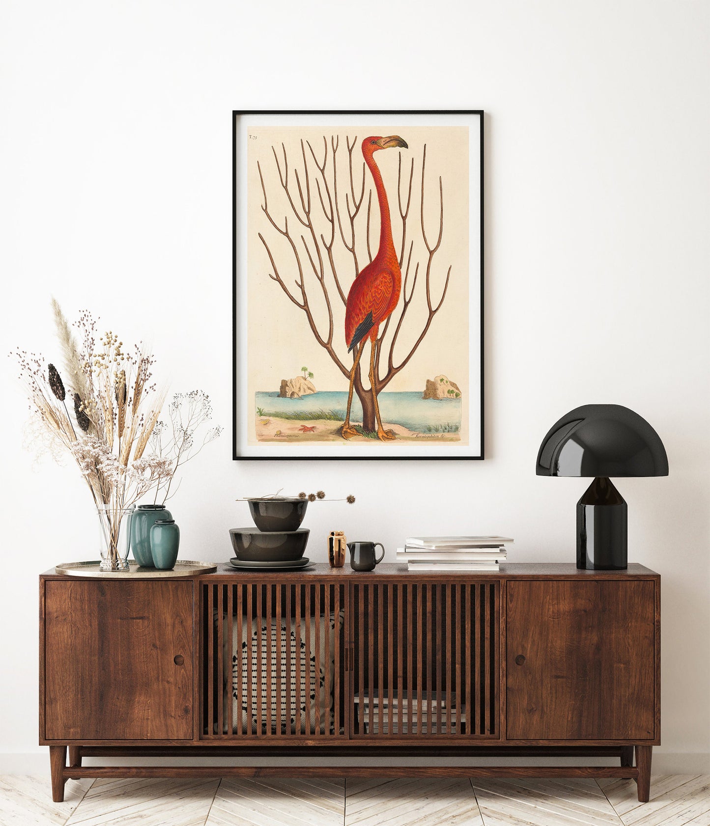The Flamingo (Phoenicopterus ruber), Mark Catesby