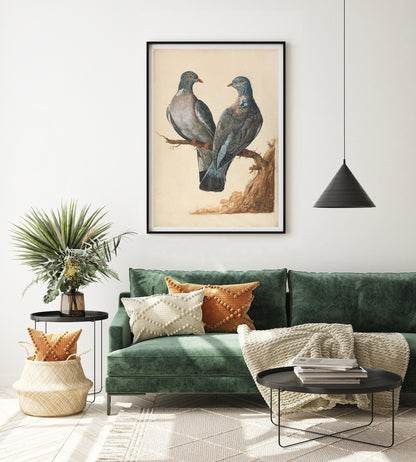 Affiche Charles Collins "Pigeons Ramiers"