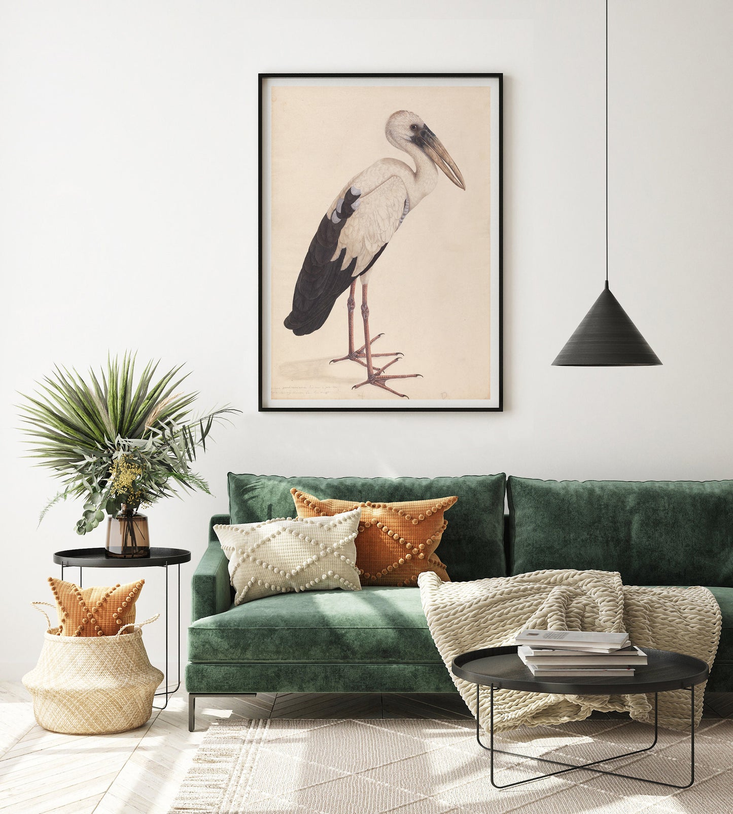 Affiche asiatique Openbill Stork