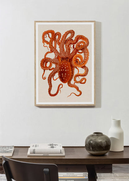 Vintage octopus illustration, Giuseppe Jatta