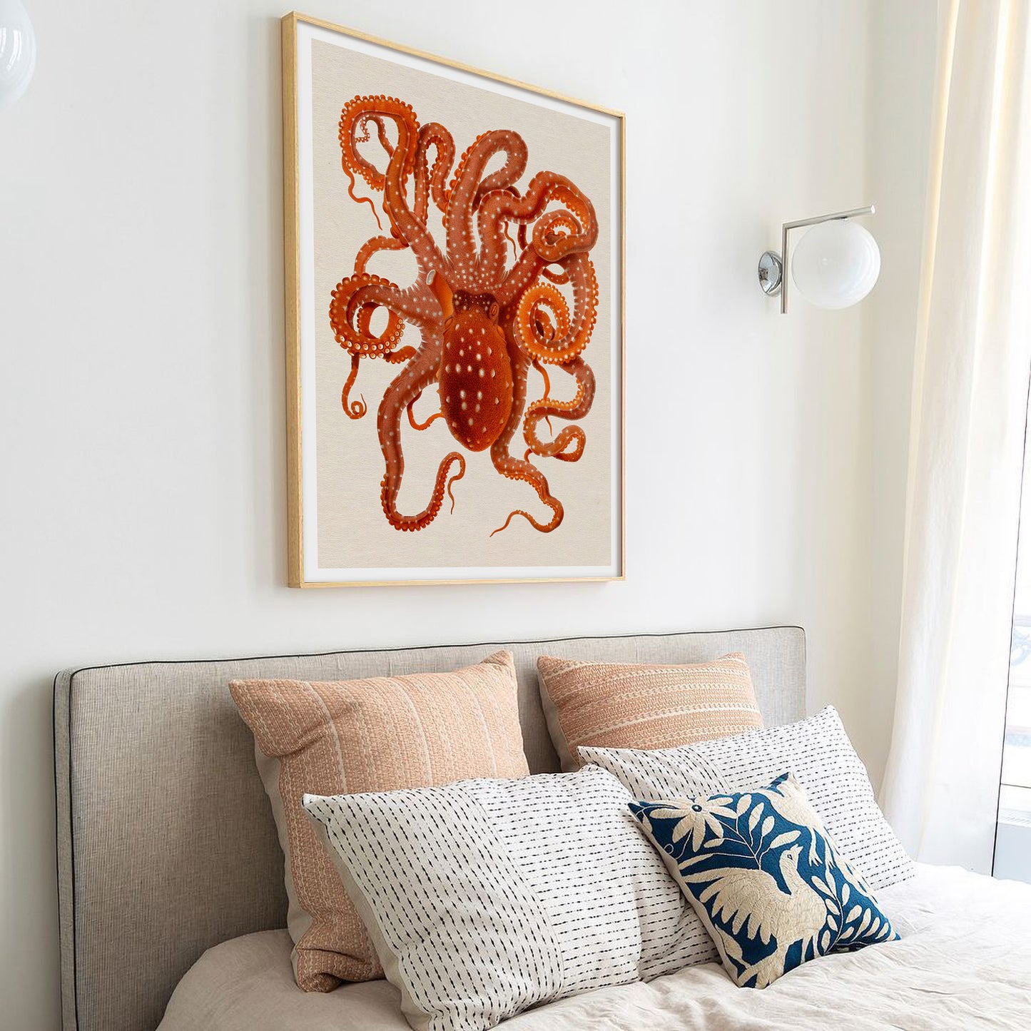 Vintage octopus illustration, Giuseppe Jatta