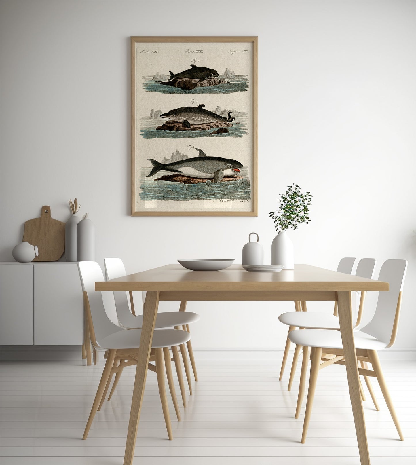 Affiche vintage Histoire Naturelle - Jacob Xaver Schmuzer "Fische, Pisces, Poissons XXIII"