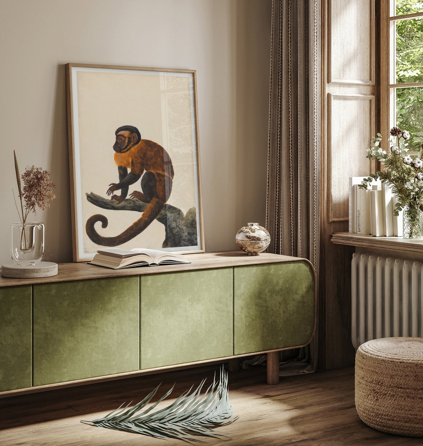 Capuchin monkey