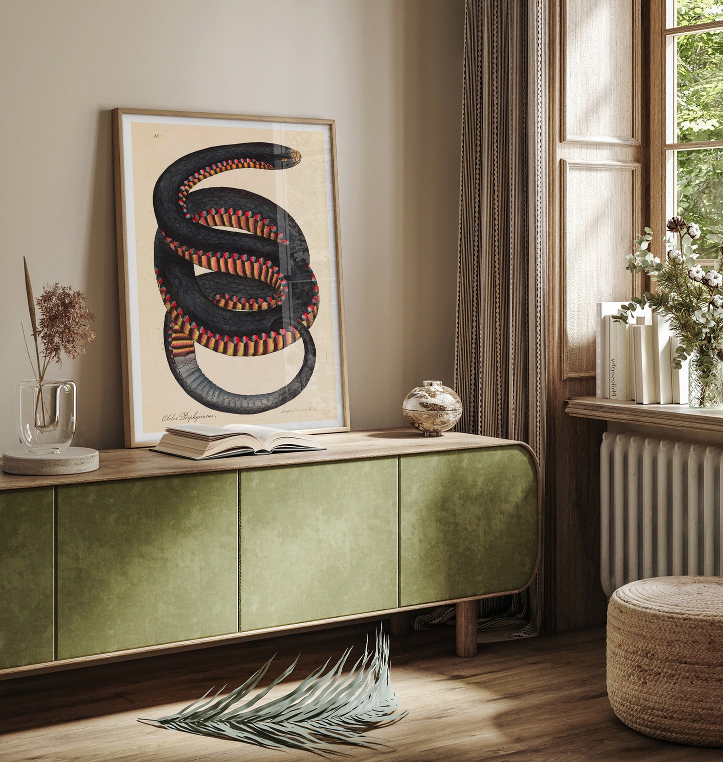 Serpent à flancs cramoisis, Coluber porphyriacus par James Sowerby