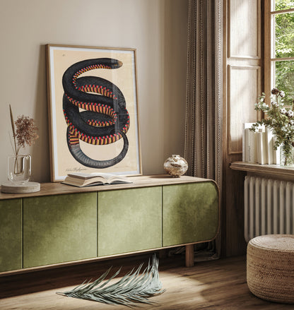 Serpent à flancs cramoisis, Coluber porphyriacus par James Sowerby