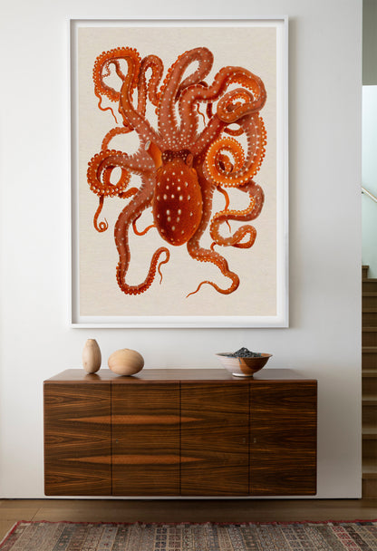 Vintage octopus illustration, Giuseppe Jatta